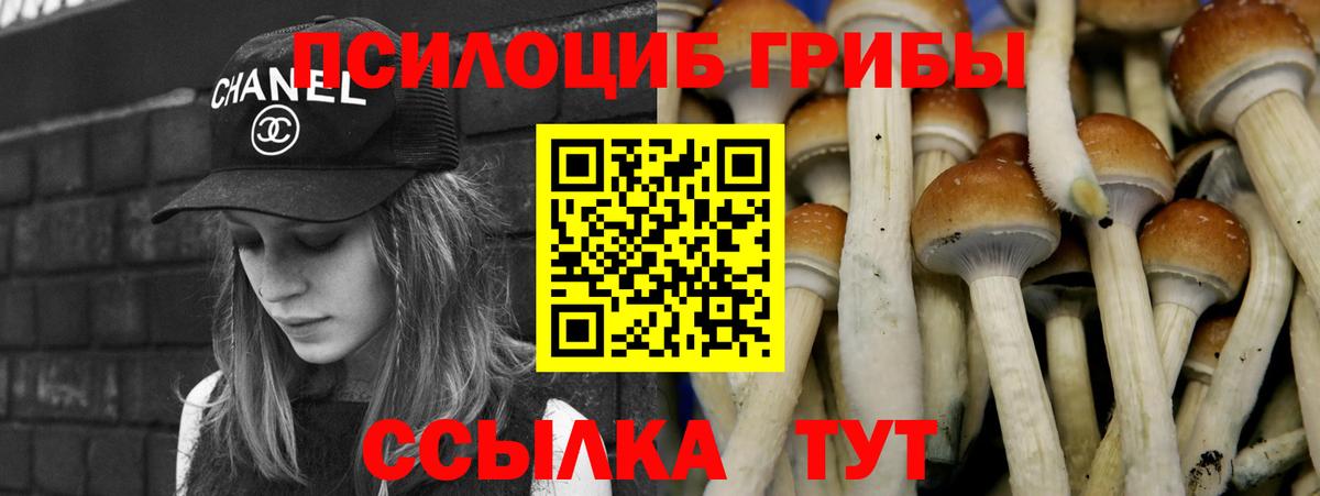 Майский  закладки  Вход с VPN  Галлюциногенные грибы Cubensis 